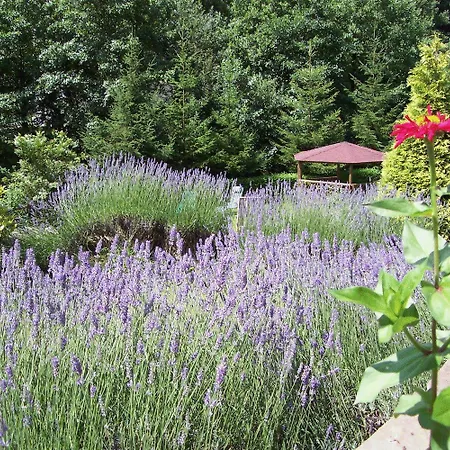 Corrada Torales 컨트리하우스